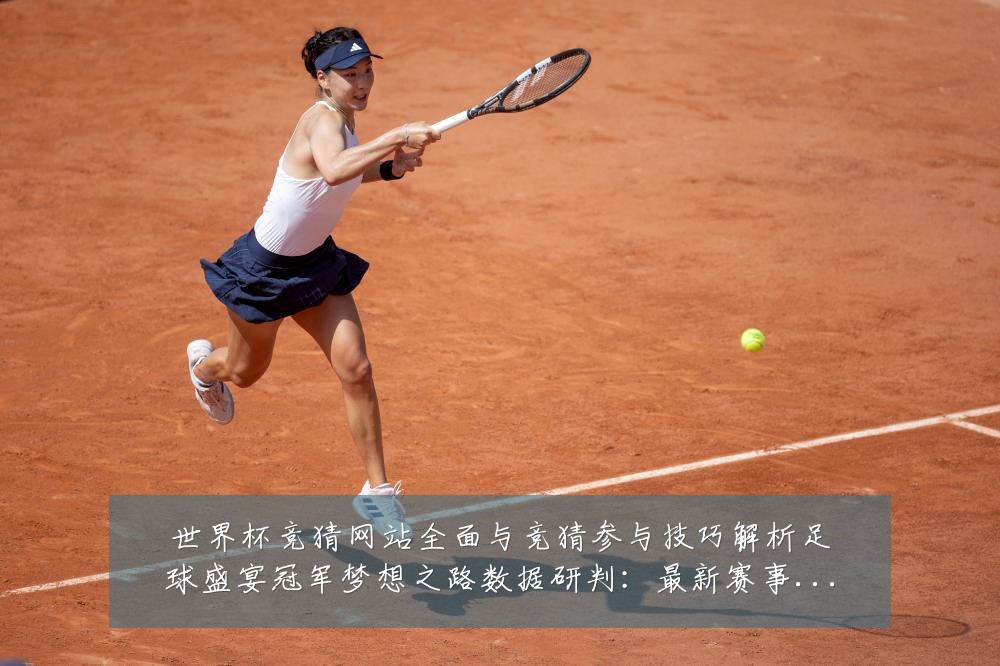 世界杯竞猜网站全面与竞猜参与技巧解析足球盛宴冠军梦想之路数据研判:最新赛事动态与深度分析
